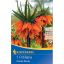 Cvetlična čebulica Fritillaria (cesarska krona) Ornage beauty Kiepenkerl 1 kos
