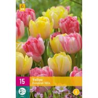 Cvetlične čebulice Tulipan Foxtrot Mix 15 kosov JUB