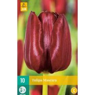 Maskara za trepalnice Flower Bulb Tulip 10 kosov JUB