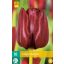 Maskara za trepalnice Flower Bulb Tulip 10 kosov JUB