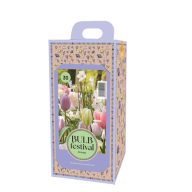 Žarnice v škatli Tulipan Rojstni dan 30 kosov JUB