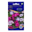 Vinka (Rose Metheng) barvna mešanica 0,25 g