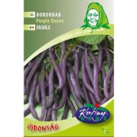 Fižol Bokorn vijolični stroki Purple Queen 50 g