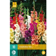 Žarnica Mečnik mešanica barv MIX 10 kosov JUB