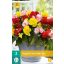 Čebulice Begonia Non Stop Mix 3 kosi JUB