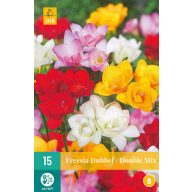 Cvetlične čebulice Fresia Dubbel/Double Mix 15 kosov JUB