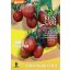 Paradižnik organski Black Plum Pure Seed približno 30 semen