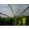Folija TVK 16x60m 0,15 UV 3-letna S3N EXTRA