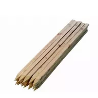 Akacijev kol z ostrim koncem 120 cm (25 mm x 25 mm)