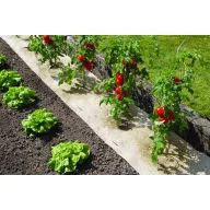 Mulč 100 % naravni Nort Chanverlin 500 0,5x3 m