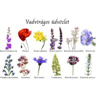   Moje divje cvetje avtohteno madžarsko cvetno seme Divji cvetni voščilni razglednica 1 g