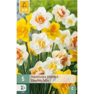 Čebulice narcisov Dubbel/Double Mix 5 kosov JUB