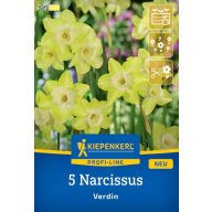 Čebulica narcisa Verdin Kiepenkerl 5 kosov
