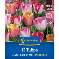   Čebulice Tulipan Joyful Garden Mix Megapack Kjer je 12 kosov