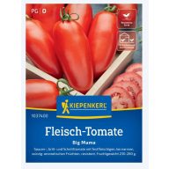   Paradižnik (mesni)-Big Mama (podolgovat) Kiepenkerl ca. 7 semen