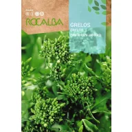 Rapini Cima di Rapa (90 dni) Rocalba 10 g
