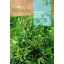 Rapini Cima di Rapa (90 dni) Rocalba 10 g