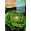 Solata Reina De Mayo Rocalba 6 g