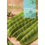 Sladki grah Tirabeque Rocalba 50 g