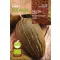 Rumeni melon Pinonet Piel de Sapo Papiro (EKO) Rocalba 3 g