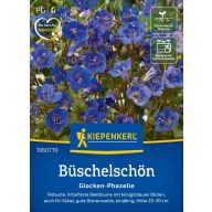 Fazelija Glocken, cca. 60 kosov, Kiepenkerl