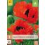 Évelő Papaver orientale Türkenlouis (Pipacs) 1 db JUB
