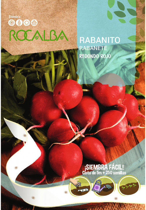 Seme redkev Redondo Rojo Rocalba 250 semen 5 m