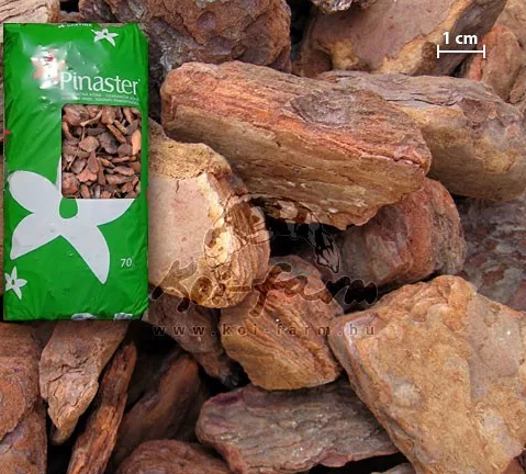 Borovo lubje Pínia 40-60 mm 70 l