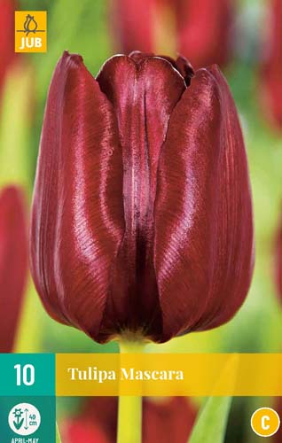 Maskara za trepalnice Flower Bulb Tulip 10 kosov JUB