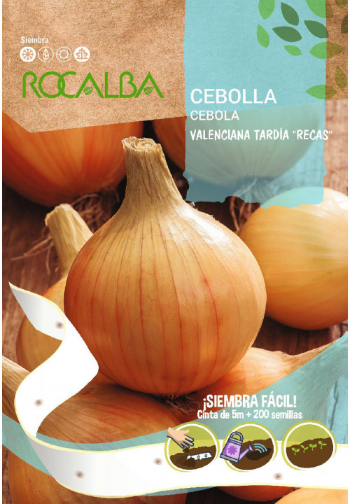 Čebula Valencia Tardia Recas Rocalba 200 semen 5m