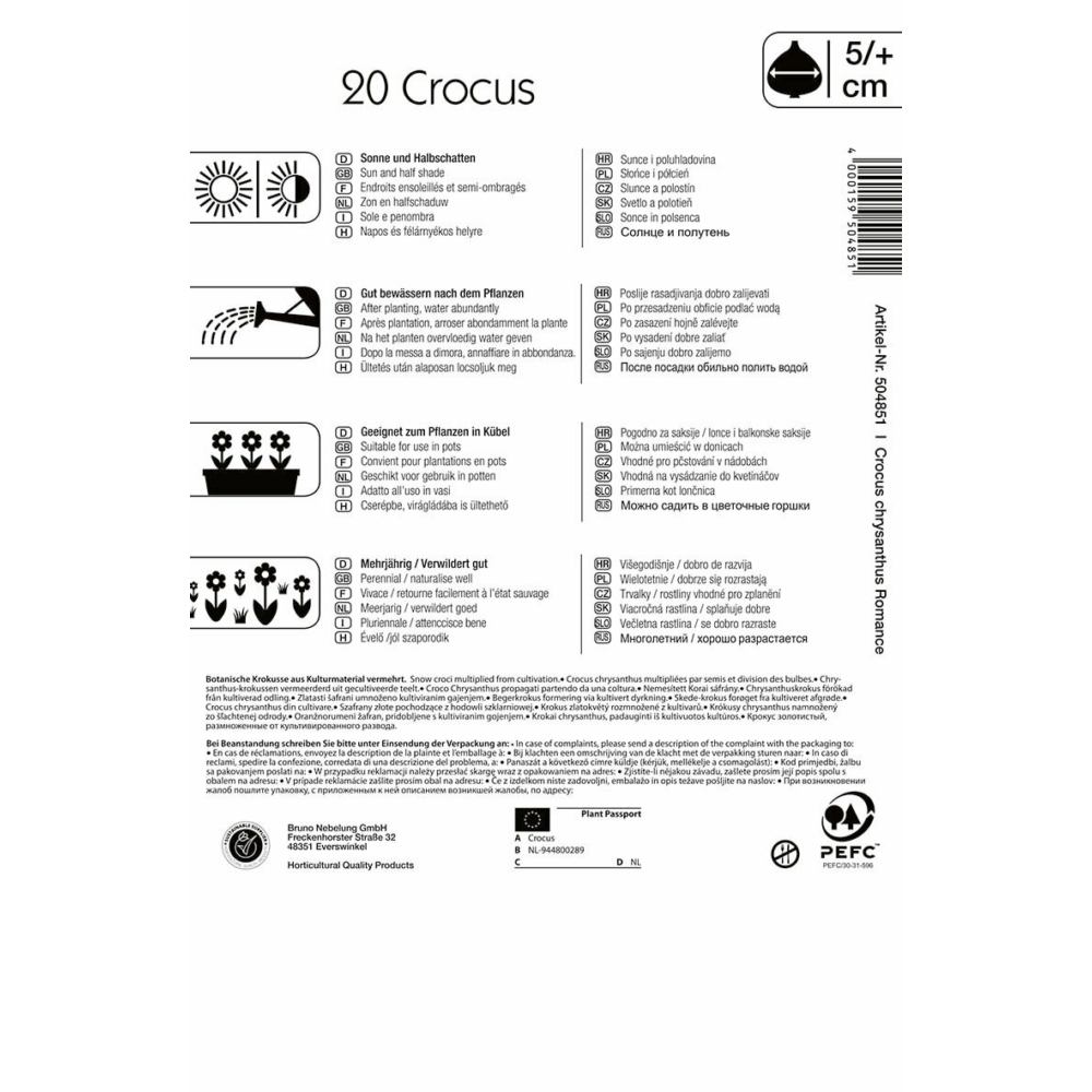 Cvetlične čebulice Botanična kokosova romantika 20 kosov Kiepenkerl