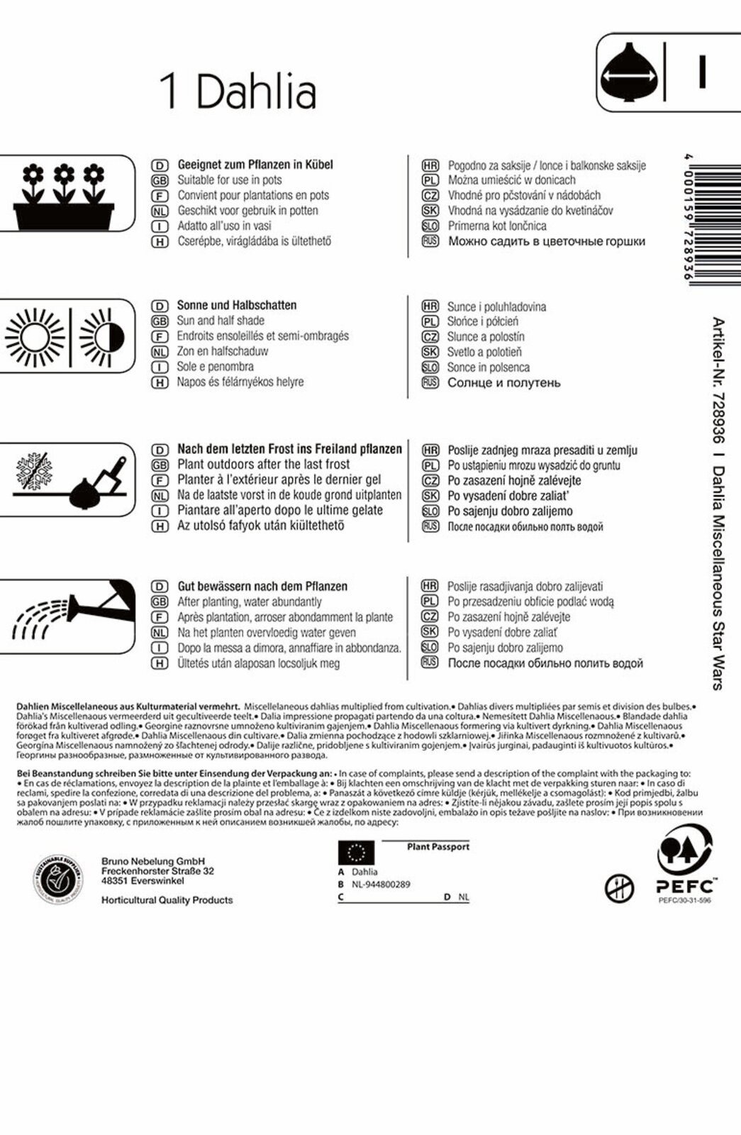 Čebulice Dahlia Star Wars (rumeno-oranžna) Kiepenkerl 1 kos