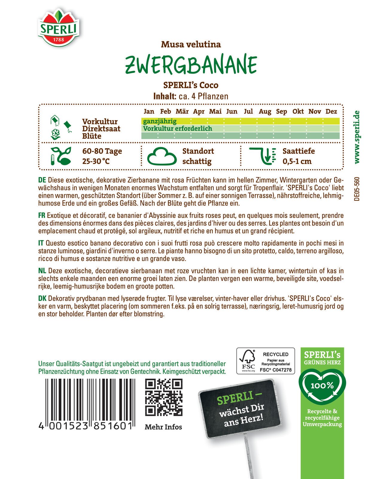 Pritlikava banana Coco 4 zrna Sperli