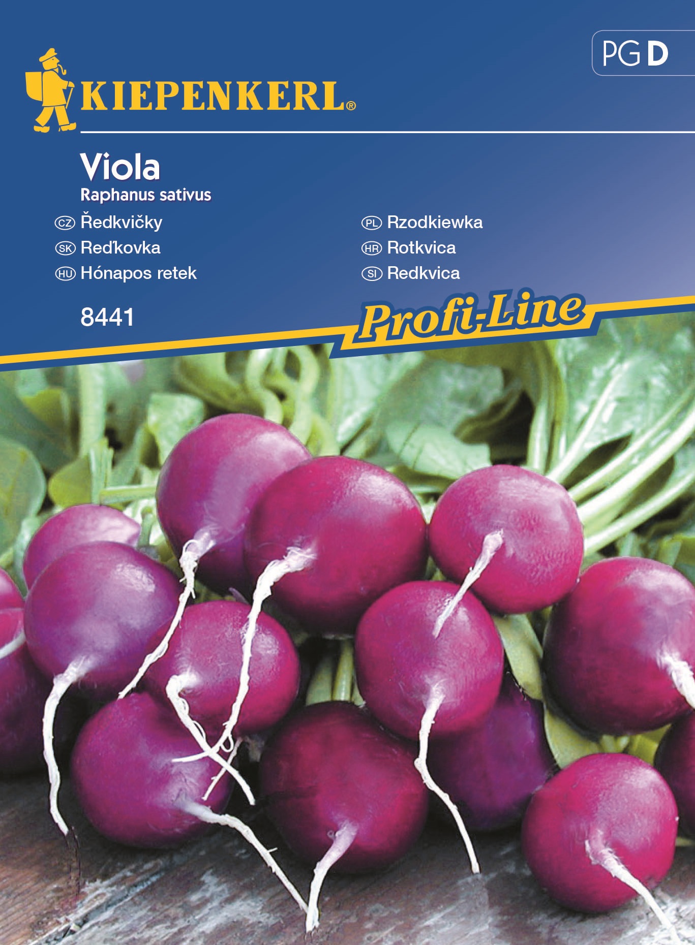 Radishes purple Viola Kiepenkerl for 10 fm