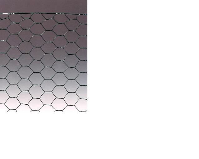 Mreža za piščance s PVC prevleko 1000 mmx25 m (30 mm)