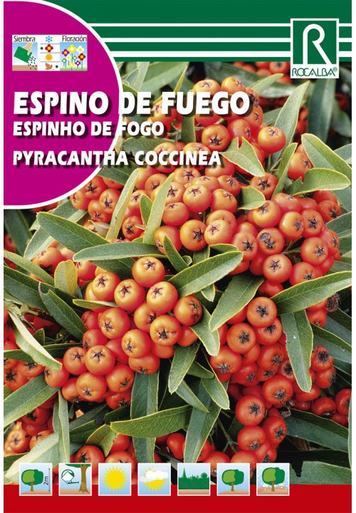 Fireweed (Espino del fuego) 1g Rocalba