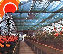 Raschel net 7,5x50 m 35g/m2 s.green