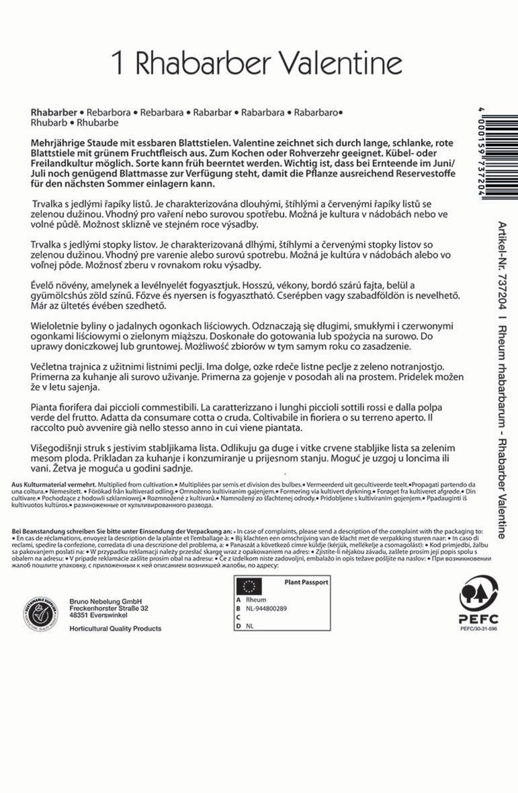 Rabarbara Valentine Kiepenkerl 1 rastlina