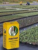 Peat Pindstrup No.6. 300l