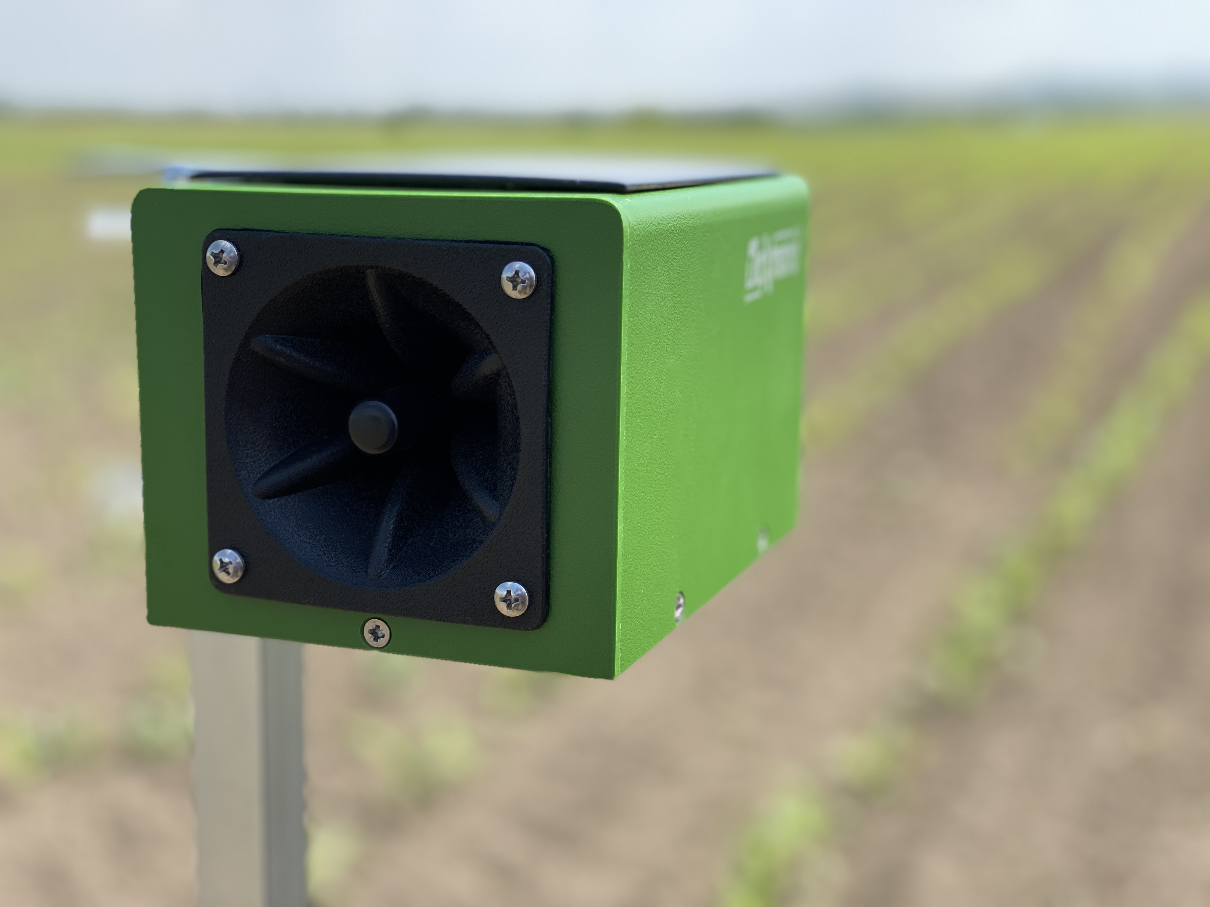 Doxmand Dvojni igralni alarm