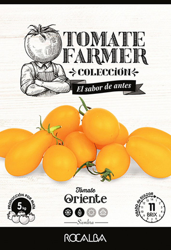 Paradižnik z rumeno hruško Oriente (kmet) Rocalba 8 zrn