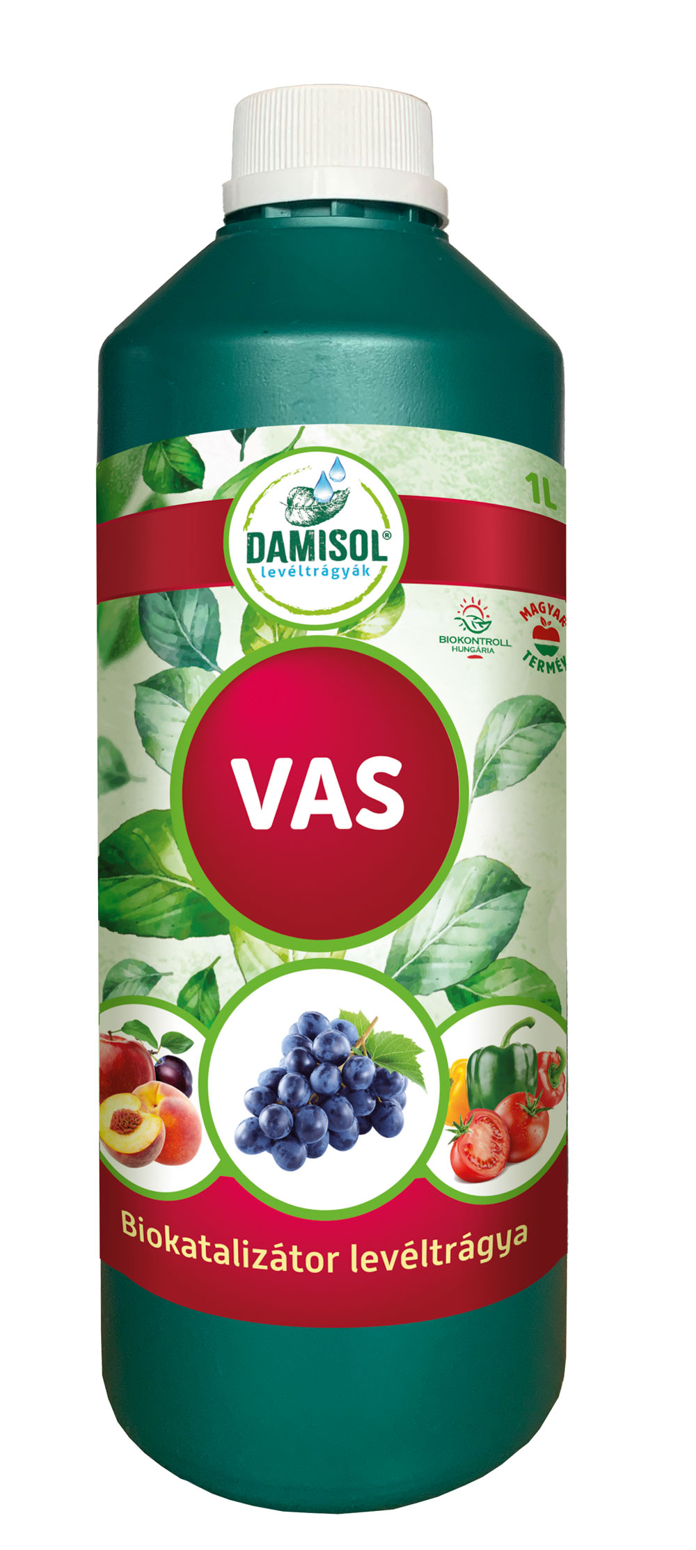 Damisole Iron 1l