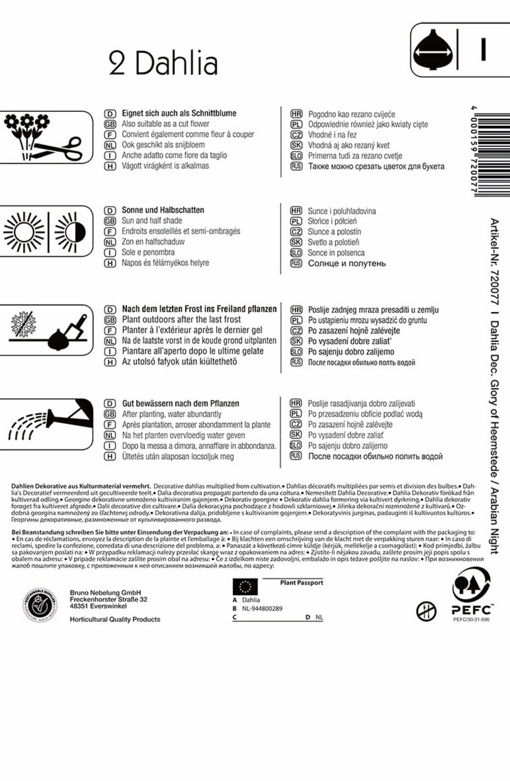 Čebulice Dahlia duet Glorie of Heemst &amp; Arabian Night (rumeno-rdeča) Kiepenkerl 2 kosa