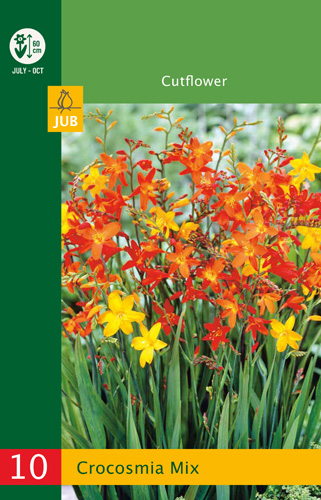 Čebulice Crocosmia Mix (Safflower) 20 kosov JUB