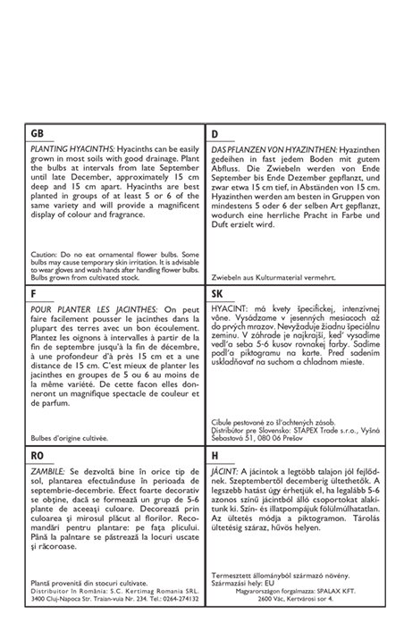 Cvetlična čebulica hiacinta mešanica barv 3 kosi Rédei Kertimag