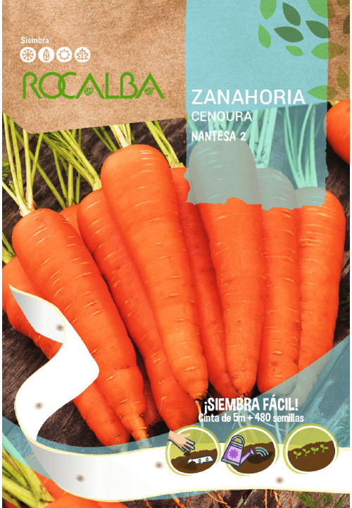 Seme korenja Nantesa2 Rocalba 480 semen 5 m