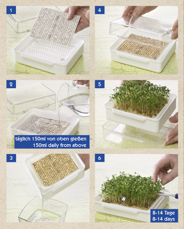 Komplet za kaljenje mikro zelenjave MicroGreen Garden Kiepenkerl