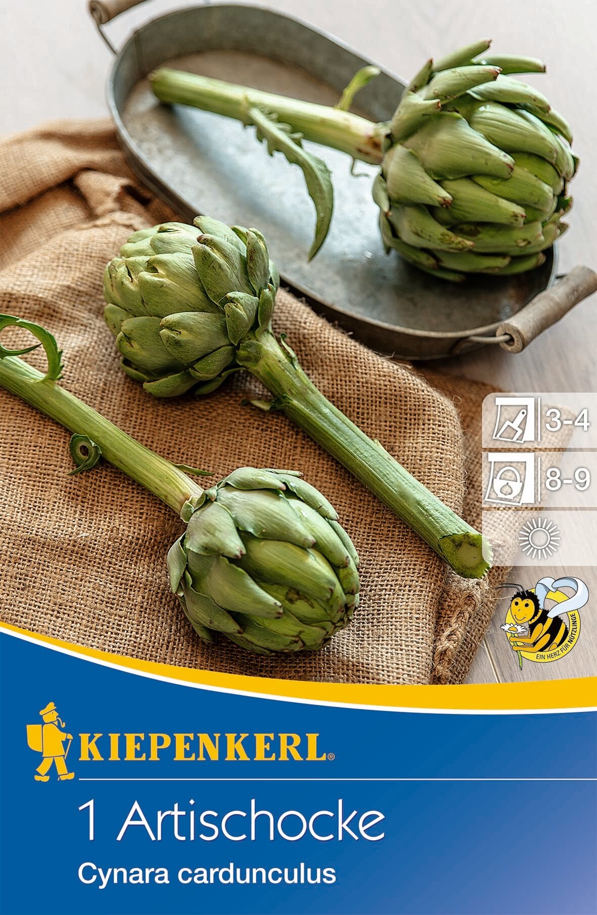 Artičoke (korenovke) Kiepenkerl 1 kos