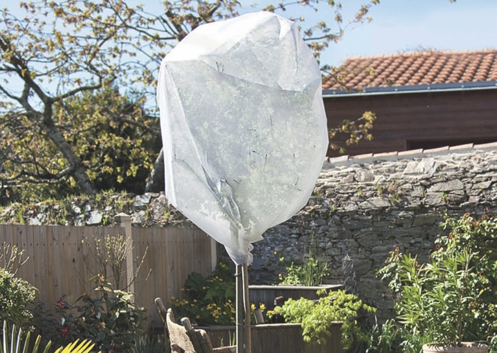 Filc za prezimovanje Wintertex 50 50g/m2 3,2x5 m