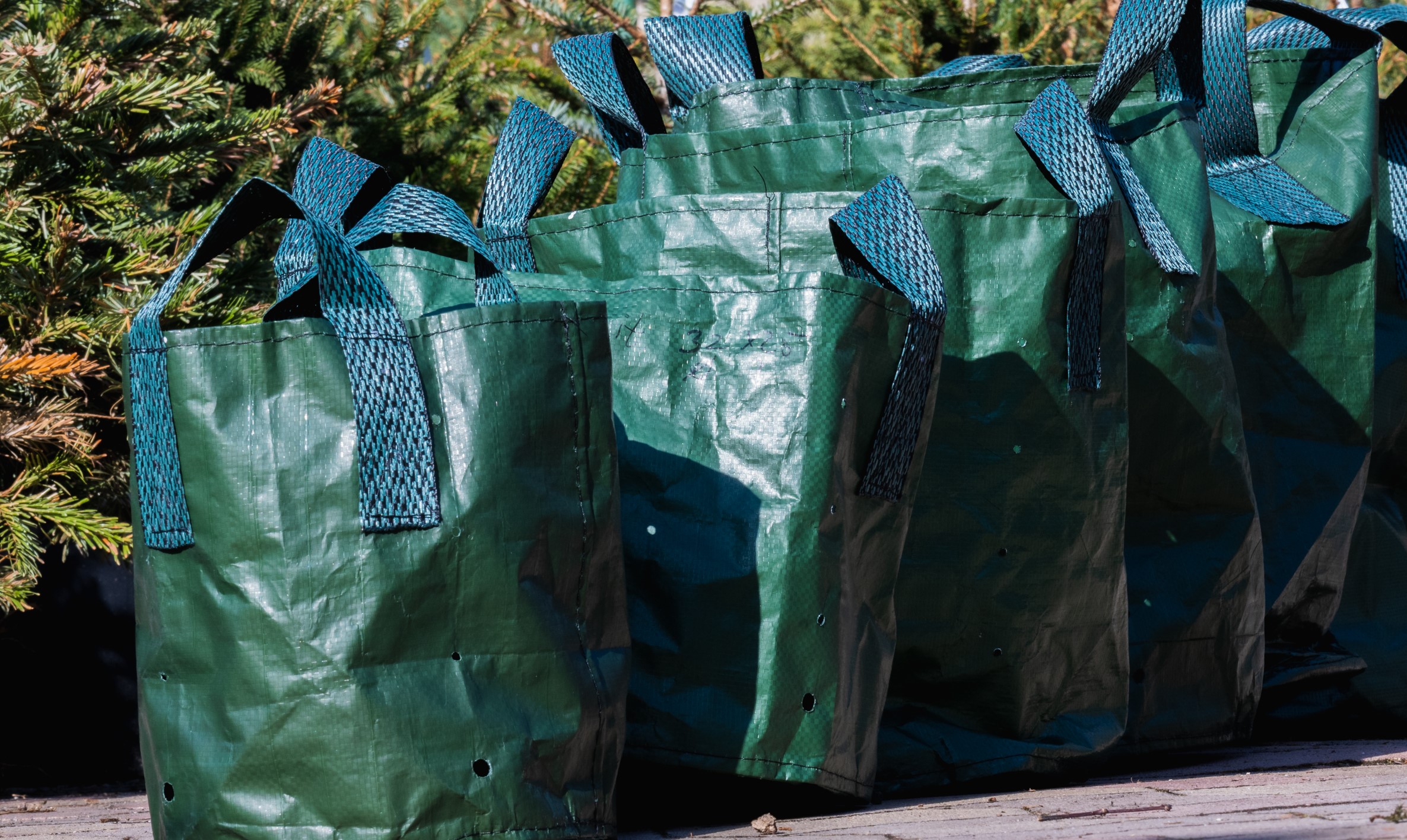 Tissue container (nursery) 50 l